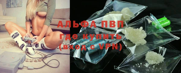 индика Арсеньев